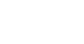 logo brasi